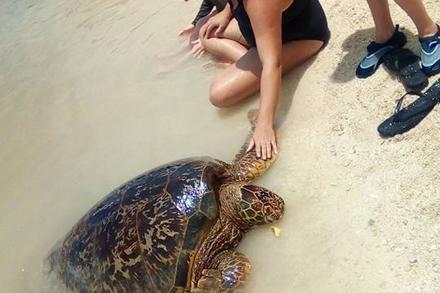 Melanesian Tours